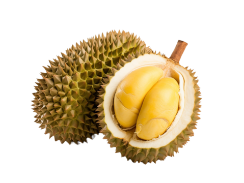 Two durians, one open showing the durian filling, are isolated in white, indicating a rich taste and texture. Generative AI