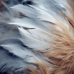 Soft and delicate feathers in shades of gray and beige