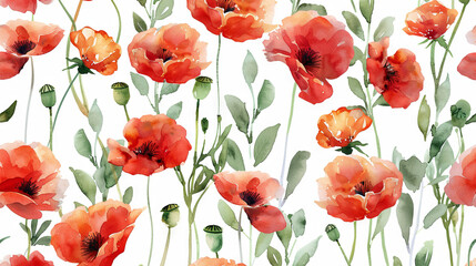 Fototapeta premium Watercolor illustration of flowering poppy, white background