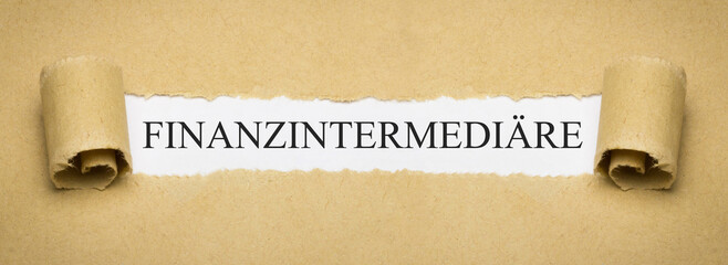 Finanzintermediäre