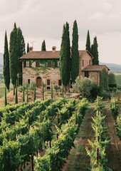 Old rustic villa surrounded by vineyards and cypress trees