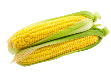 Symphony of Maize. On a White or Clear Surface PNG Transparent Background.