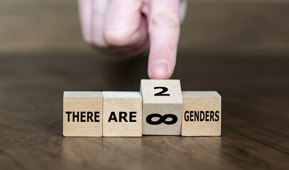 Cubes form the expressions 'there are infinite genders' and 'there are two genders'.