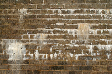 Close Up of Old Brick Wall with White Efflorescence 