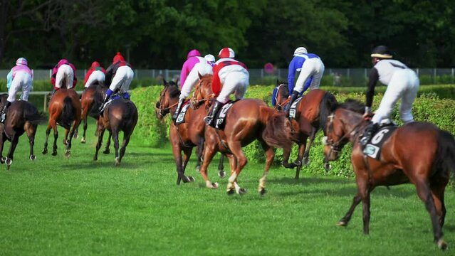 Close up horse racing at a hippodrome in slow motion
