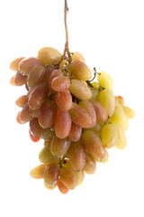 Bunch of organic pink grapes isolated on white background.