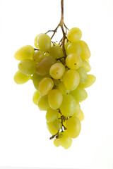 Bunch of organic green grapes isolated on white background.