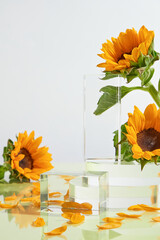 Many transparent glass podium scattered on white table with sunflower petal, flower branches...