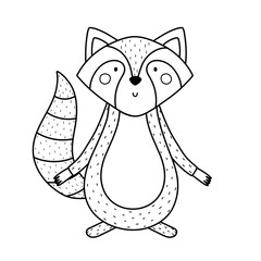 Cute black and white raccoon animal in cartoon style. Forest character for kids design in outline. Woodland mammal isolated. Vector illustration