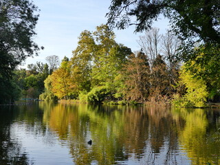 Lac arbre en automne parc