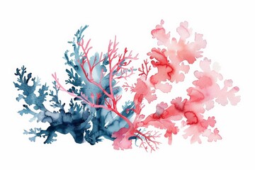 blue and red underwater coral watercolor illustration on white background 