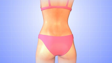 Medical animation for reducing female back fat