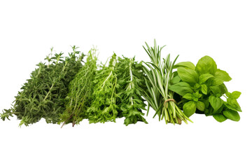 Fototapeta premium The Herb Symphony. On a White or Clear Surface PNG Transparent Background.