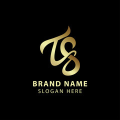 Luxury letter T&S logo design
