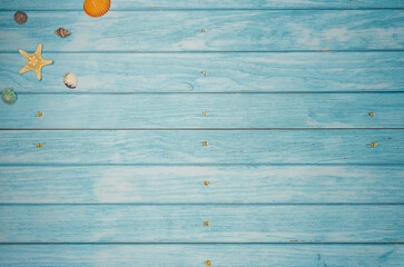 Sea shells on a blue wooden background. Top view, copy space