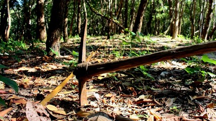 A symbol of forgotten labor and toil