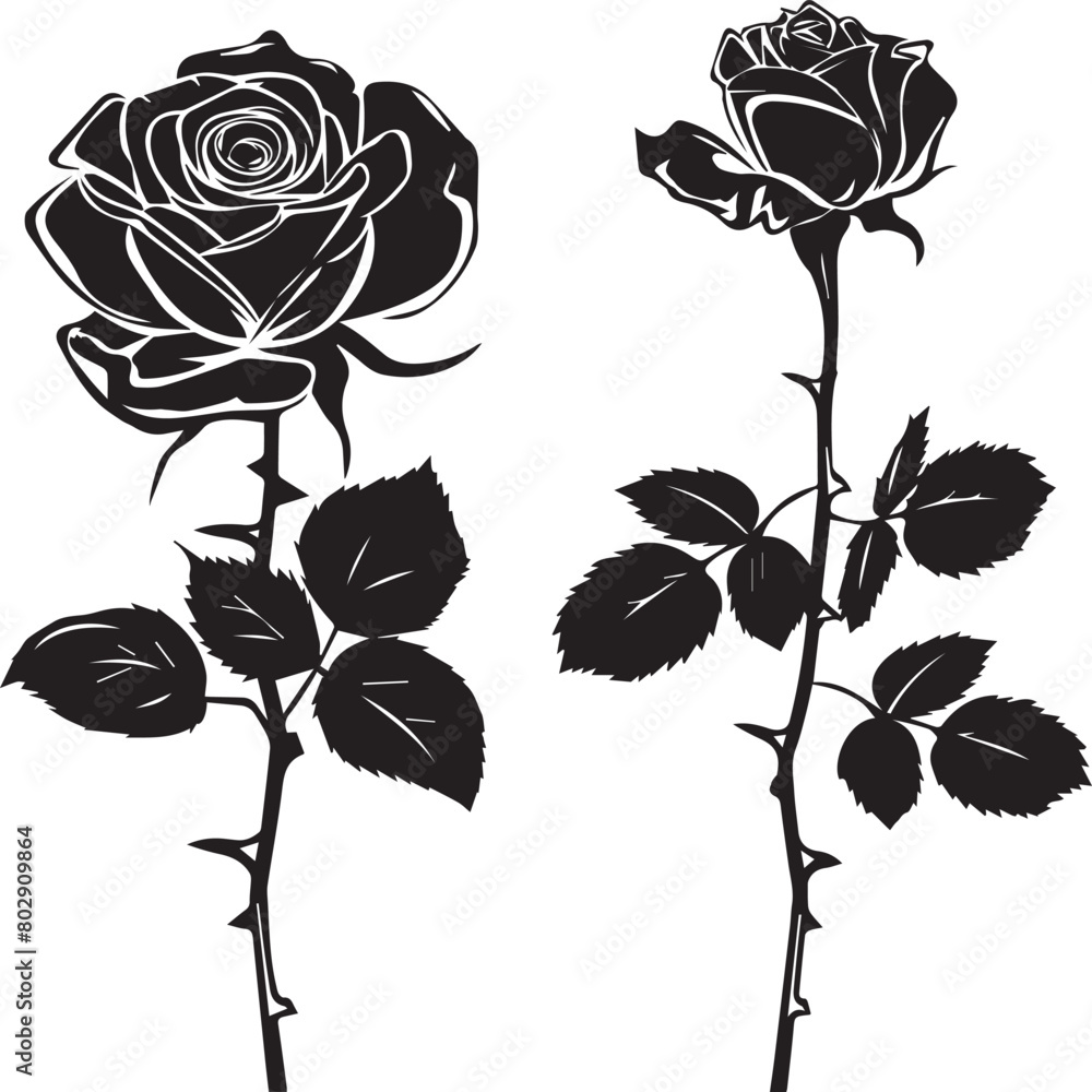 Poster set of roses