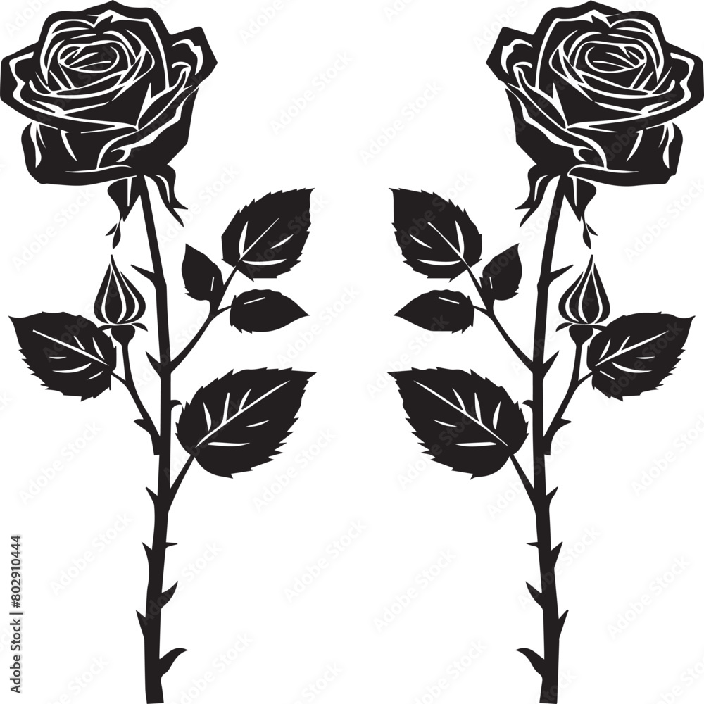 Wall mural set of roses vector