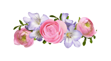 Pink ranunculus flowers and purple freesia in a beautiful floral arrangement isolated on white or transparent background