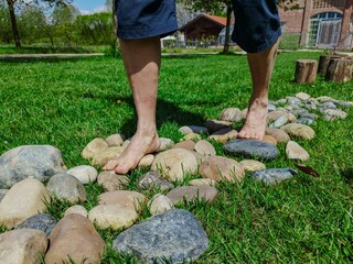 Close-up on the feet of a Caucasian man engaged in a barefoot path: a stretch of rounded stones follows wooden trunks on a meadow. Beautiful sunny day.
