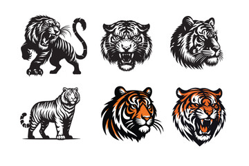 tiger vector illustration