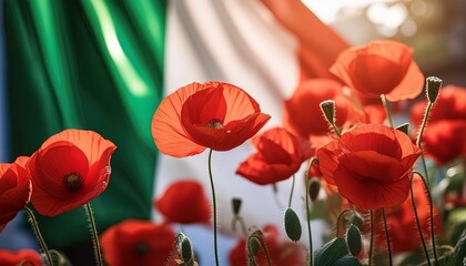 Festa della Liberazione Tribute: Red Poppies on Italy Flag Background - obrazy, fototapety, plakaty
