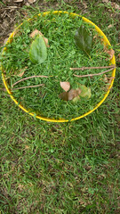 芝生で作った黄色いお皿の上の動物の顔