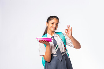 Healthy nutrition for kids - Indian asian female school child in school uniform holding a tiffin lunch box