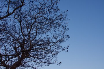 神奈川県横浜市栄区本郷台の夕景　夜景