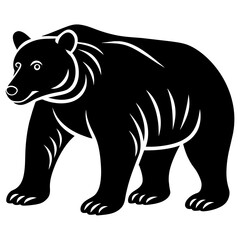 bear illustration