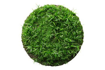 Circle made with green grass with soil isolated on transparent background