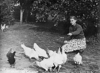 Vintage photo of a young girl feeding hens and roosters. USSR, 1961.