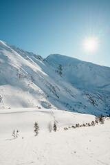 Alpine mountains landscape with white snow and blue sky. Frosty trees under warm sunlight. Wonderful wintry landscape High Tatras, slovakia
