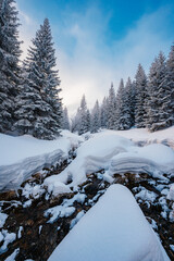 Alpine mountains landscape with white snow and blue sky. Sunset winter in nature. Frosty trees under warm sunlight. Wonderful wintry landscape. Low Tatras, Slovakia
