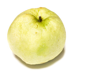 Guava fruit on white background
