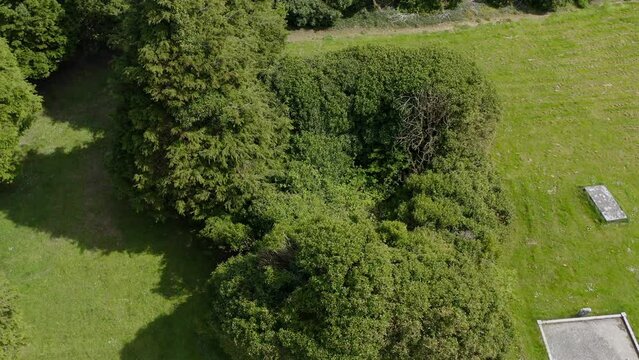 Top down orbit shot of Cargin Church with overgrown shrubs. County Galway, Ireland,