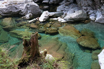 明媚な瀬戸川渓谷　（高知県　土佐町）