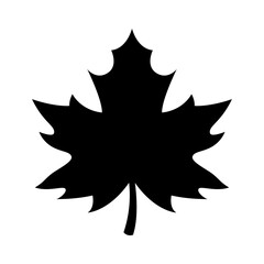 Maple leaf Silhouette Vector Art isolated on white background