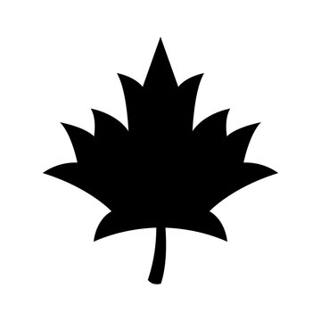 recommend clip art: Maple leaf Silhouette Vector Art isolated on white background