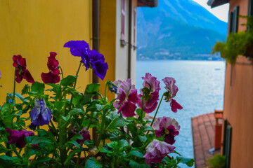 Italy, Varenna, 22.04.2024: Mountain view on Lake Como with typical Italian architecture