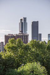 Fototapeta premium Madrid cityscape with office buildings of different heights with glass facades and leafy tree canopies