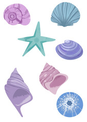 Set of seashells and starfish illustrations on a transparent background