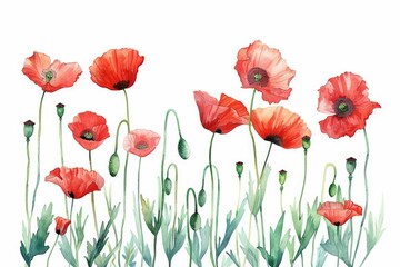 Obraz premium A painting of red poppies on a white background. Ideal for floral and nature-themed designs