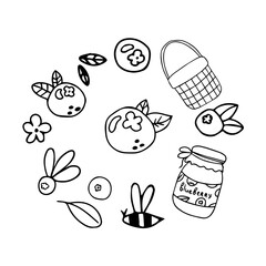 Hand drawn set of  doodle blueberry, jar of jam, bee, basket. 