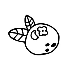 Hand drawn blueberry with leaves, flat doodle illustration.