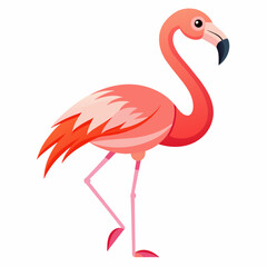 flamingo Bird Vector art illustration flat style (5)