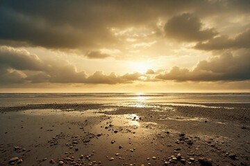 Obraz premium sunset on the beach