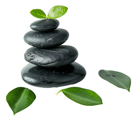 Fototapeta premium Stack of black zen stones with green leaves isolated on a transparent background