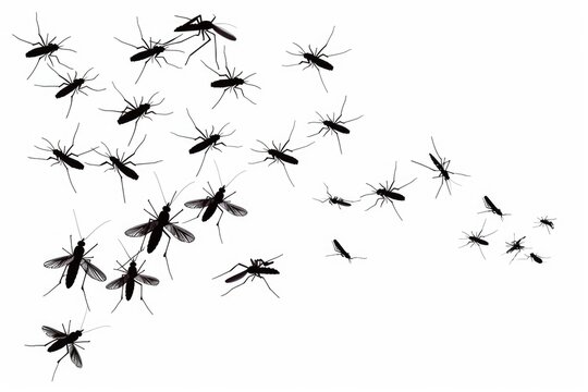 A flock of mosquitos in flight. Suitable for pest control or nature concept