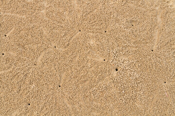 Close up sand ball from sand bubbler crabs beach pattern